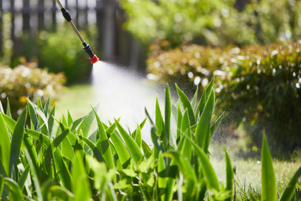 Tamper-Resistant Bait Stations for Rodents in Zephyrhills