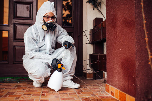 Attic and Crawl Space Rodent Treatment in Zephyrhills