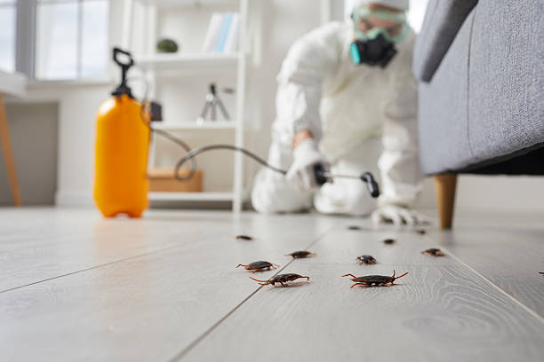 Commercial Rodent Management in Zephyrhills